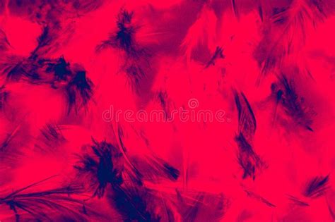 Beautiful Closeup Textures Abstract Colorful Dark Black Red And Pink