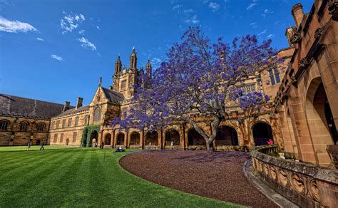 The University Of Sydney Go Abroad Worldwide Study