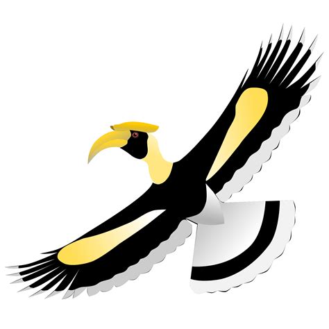 Hornbill Svg Download Hornbill Svg For Free 2019