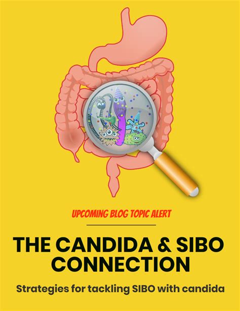 The Sibo Candida Connection With 7 Tips On Treating Sibo With Candida