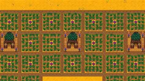 最新のHD Stardew Valley Farm Layout Junimo Hut - サガトマゲ