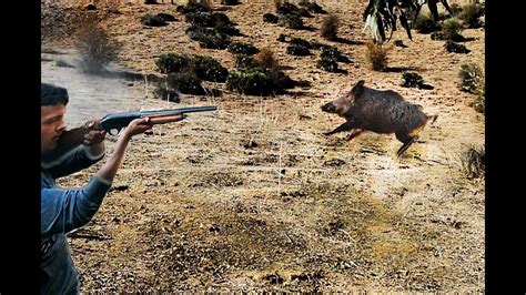 Chasse Sanglier En Battue Hunting Wild Boar 2017 2018 Youtube