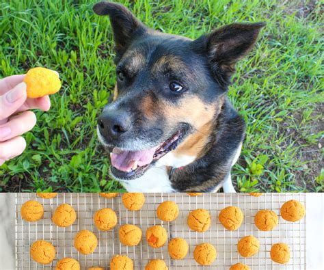 Sweet Potato Dog Treats Recipe 8 Steps With Pictures Instructables