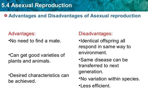 Advantages And Disadvantages Of Asexual And Sexual Reproduction My
