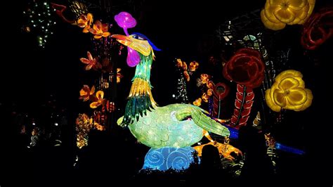 Hong kong lantern festival 2014. CNY 2017 ~ 马来西亚佛光山东禅寺 春节平安灯会暨花艺展 FGS Dong Zen Temple ...
