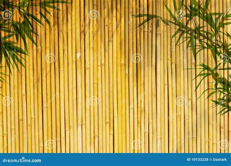 Bamboo Background Royalty Free Stock Photos Image 10133228