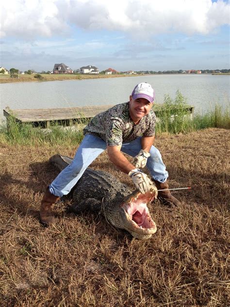 10 Foot Alligator Caught On Galveston Beach