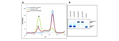 Elution Profile After Size Exclusion Chromatography A Through