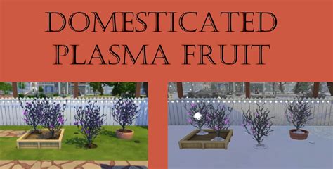 Domesticated Plasma Fruit Harvestable Sims 4 Cuisine And Food Mods