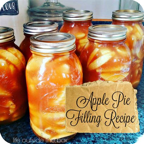 You can use it as a topping for cheesecakes, for apple danish, for filling a cake and yes, for apple pie. Canned Apple Pie Filling Recipe (With images) | Recipes, Pie filling recipes, Pie filling