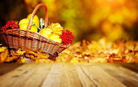 Fall Harvest Wallpaper ·① Download Free Amazing Hd