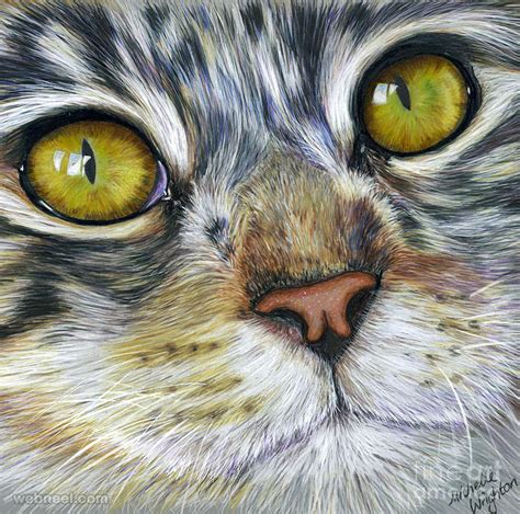 White drawing paper, a soft graphite pencil, provided image reference. Cat Color Pencil Drawing Michelle 15