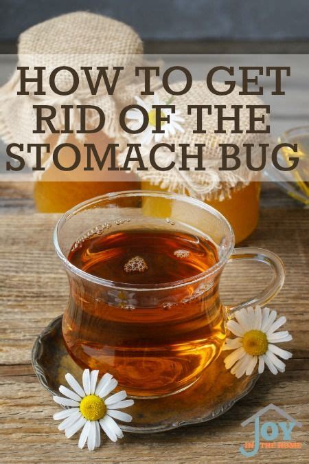 How To Get Rid Of The Stomach Bug The Joyfilled Mom Natural Healing