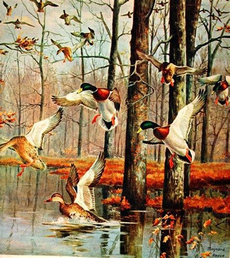 Duck Art Hunting Art Waterfowl Art