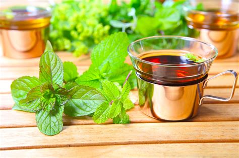 Buy Lemon Balm Tea Benefits Preparation Side Effects Herbal Teas Online
