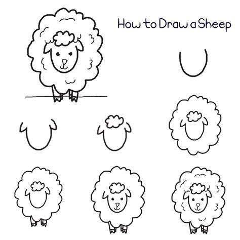 Step By Step Sheep Drawing At Drawing Tutorials