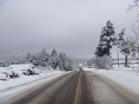 Free Images Tree Nature Snow Cold Track Road Street Morning
