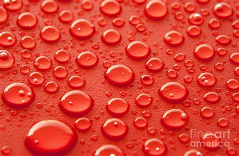 Red Water Drops Photograph By Blink Images