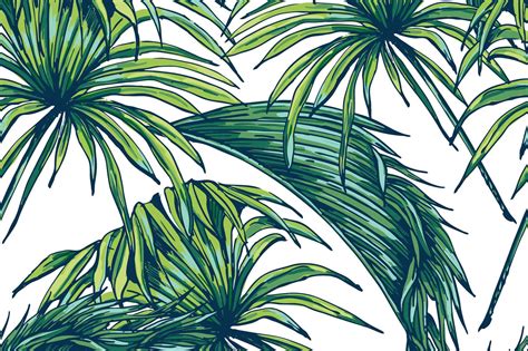 Palm Leaves Wallpaper (37+ images)