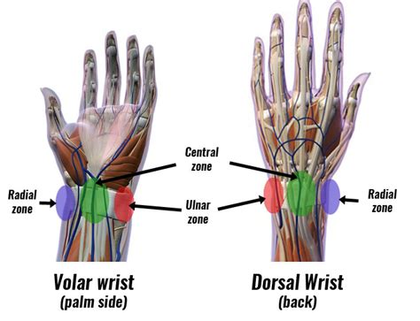 Wrist Pain By Location