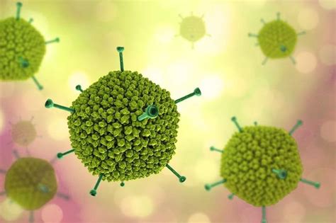 В57) — острое инфекционное заболевание с. Virus Adenovirus gây bệnh gì? | Vinmec
