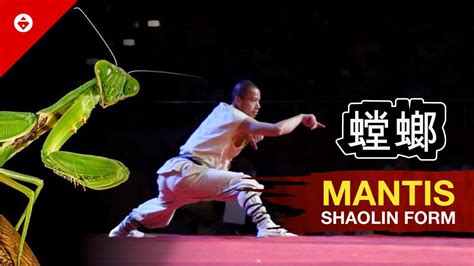 Shaolin Mantis Fist Form By Warrior Monk Best Kung Fu Youtube