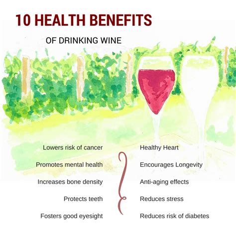 10 health benefits of drinking wine australian wine tour co