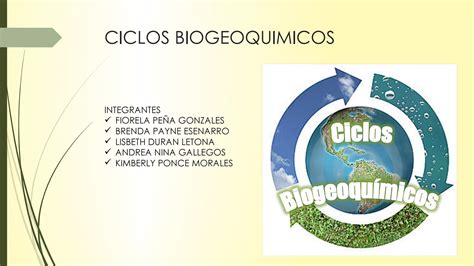 Caracteristicas De Los Ciclos Biogeoquimicos Arbol