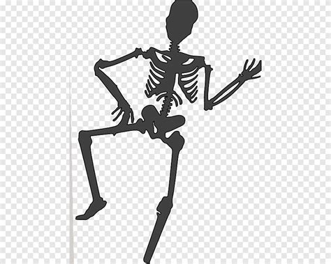 Esqueleto Humano Esqueleto Dibujos Animados Silueta Png Pngegg My Xxx