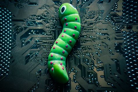 What Is The Difference Between A Virus And A Computer Worm