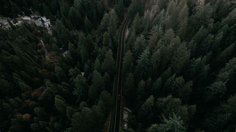 Download Wallpaper 1600x900 Road View From Above Trees Marking Auto