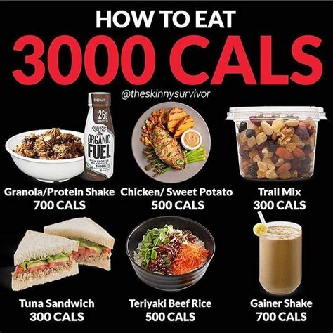 How To Eat 3000 Cals By Theskinnysurvivor Here Is An Example Full