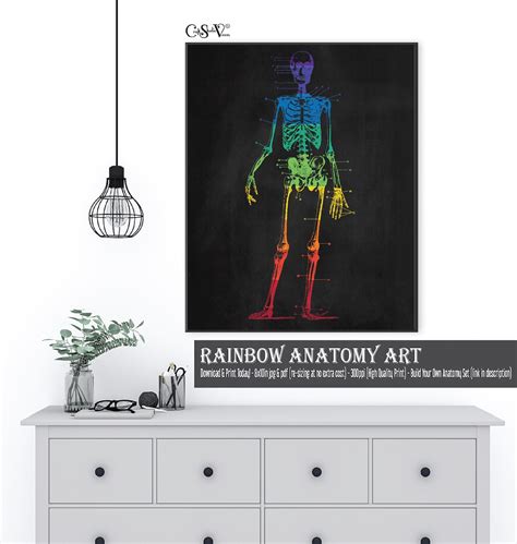 Rainbow Anatomy Art Prints Skeletal System Paramedic Med Tech Etsy