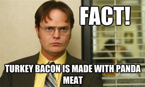 Dwight Schrute Facts Memes Quickmeme