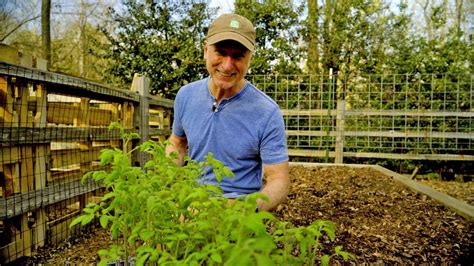 The History And Benefits Of Heirloom Seeds Exmarks Backyard Life