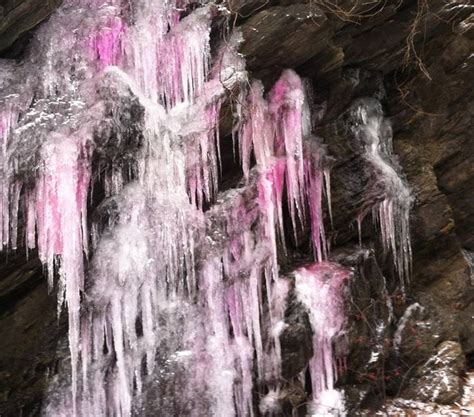 Mysterious Pink Ice Waterfall Delights Passersby At Highbridge Park