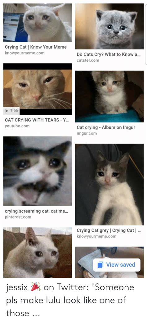 Download Screaming Crying Cat Meme Png And  Base