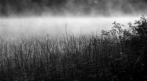 Mist Photograph By Mikhail Pankov Pixels