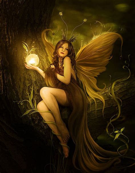 Fairy Of Light Fantastical Fairy Art Beautiful Fairies Fairy Pictures