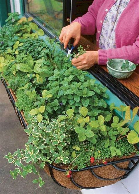 60 Interesting Diy Container Herb Garden Design Ideas Gartenlove