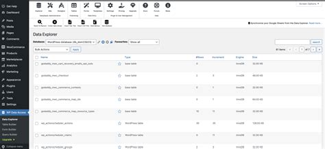 Access my Managed WooCommerce Stores database | Managed WooCommerce