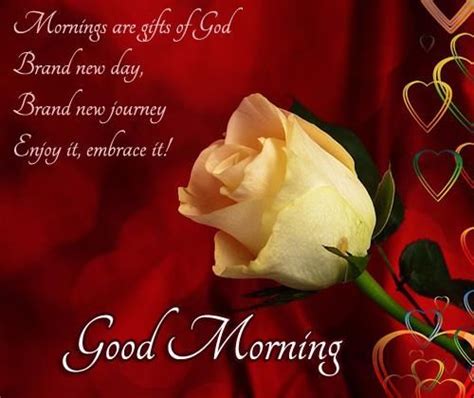 The most famous quotes to include with your good morning message for her. Mornings Are Gifts Of God....Good Morning Pictures, Photos ...