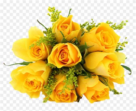 Dozen Yellow Roses Bouquet Yellow Roses Bouquet Free Transparent