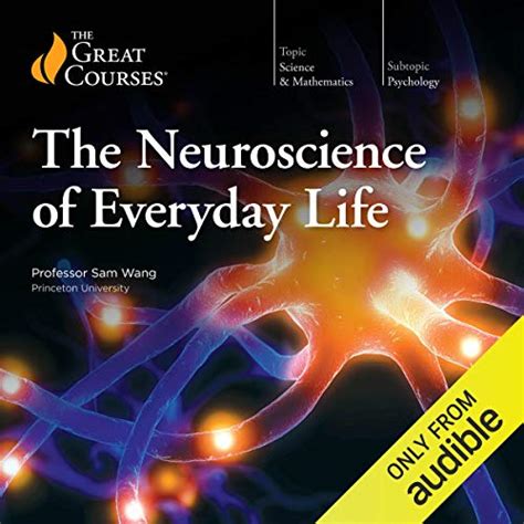 Neuroscience Of Everyday Life By The Great Courses Lecture