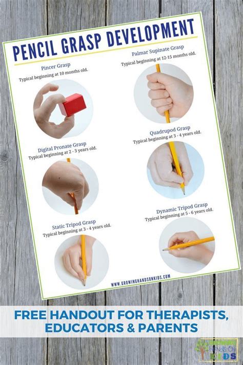 Pencil Grasp Development Handout For Parents Educators And Therapists