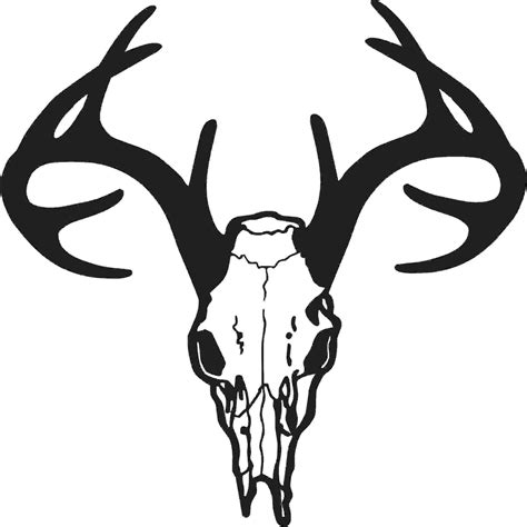 Whitetail Deer Head Vector Clipart Best