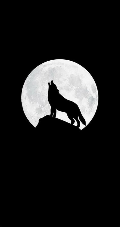 Wolf Howling Howl Full Moon Mountain Silhouette Black And White