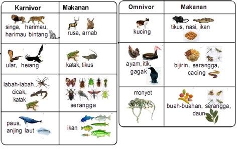 Vertebrata dapat dibahagikan kepada lima kumpulan yang utama iaitu mamalia, amfibia, reptilia, burung dan ikan. Sains : Kumpulan Haiwan - Seindah Cerita