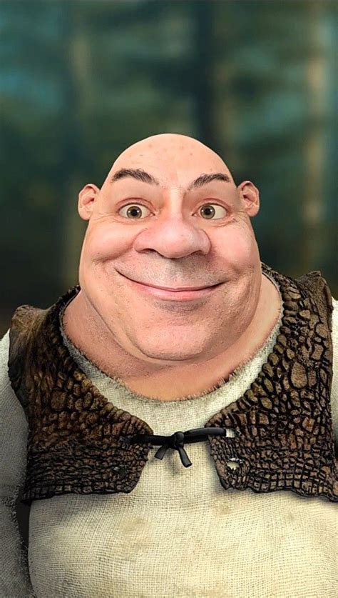 Shrek As Human In 2023 Shrek Princess Fiona Shrek Aesthetic Cute