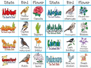 Does anyone happen to know the full alphabetical order of characters in windows. state nicknames, birds, flowers cards @Erin Torbert I don ...